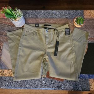 Truth + theory pants